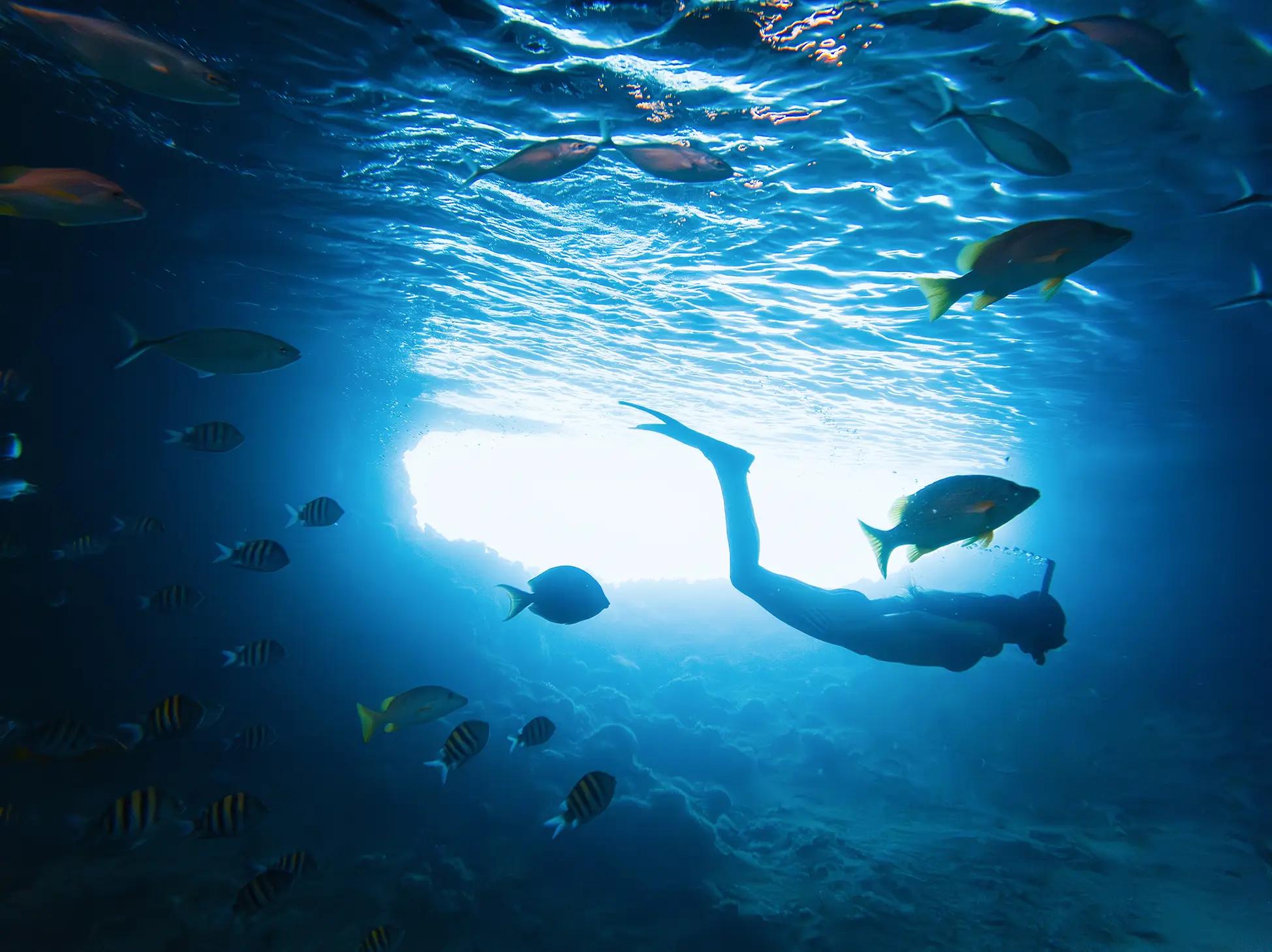 Underwater snorkeler swimming with fish