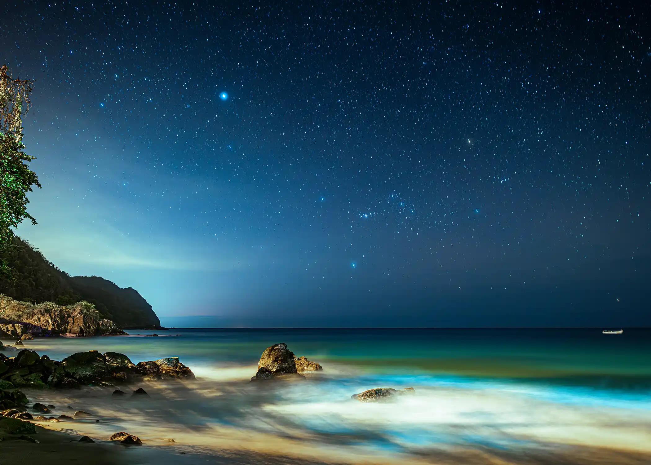 Waves lit up with bioluminescence lap onto Castara beach at night under a sky full of stars of the Caribbean isalnd of Tobago.