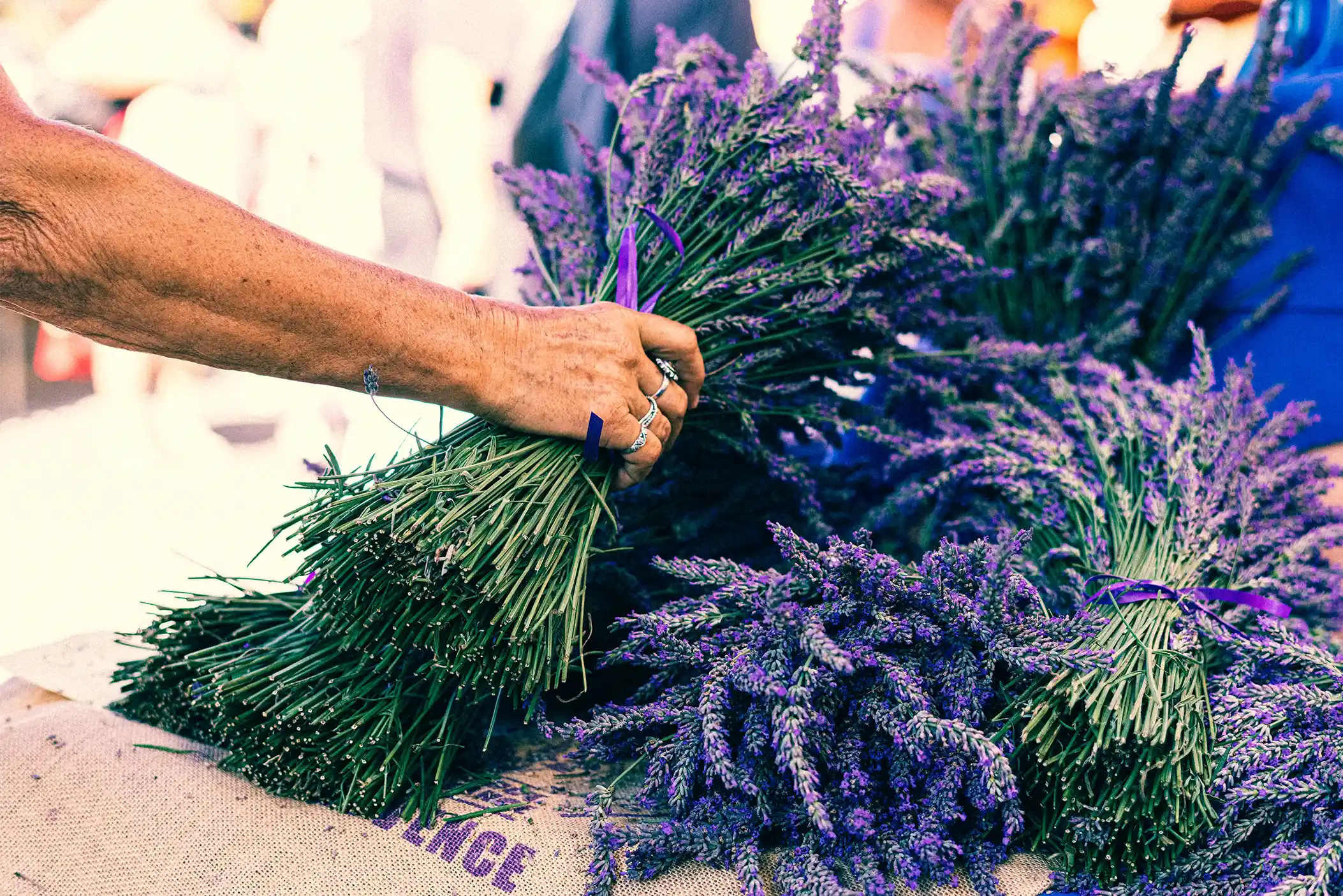 Women grabbing lavender at a french market.
