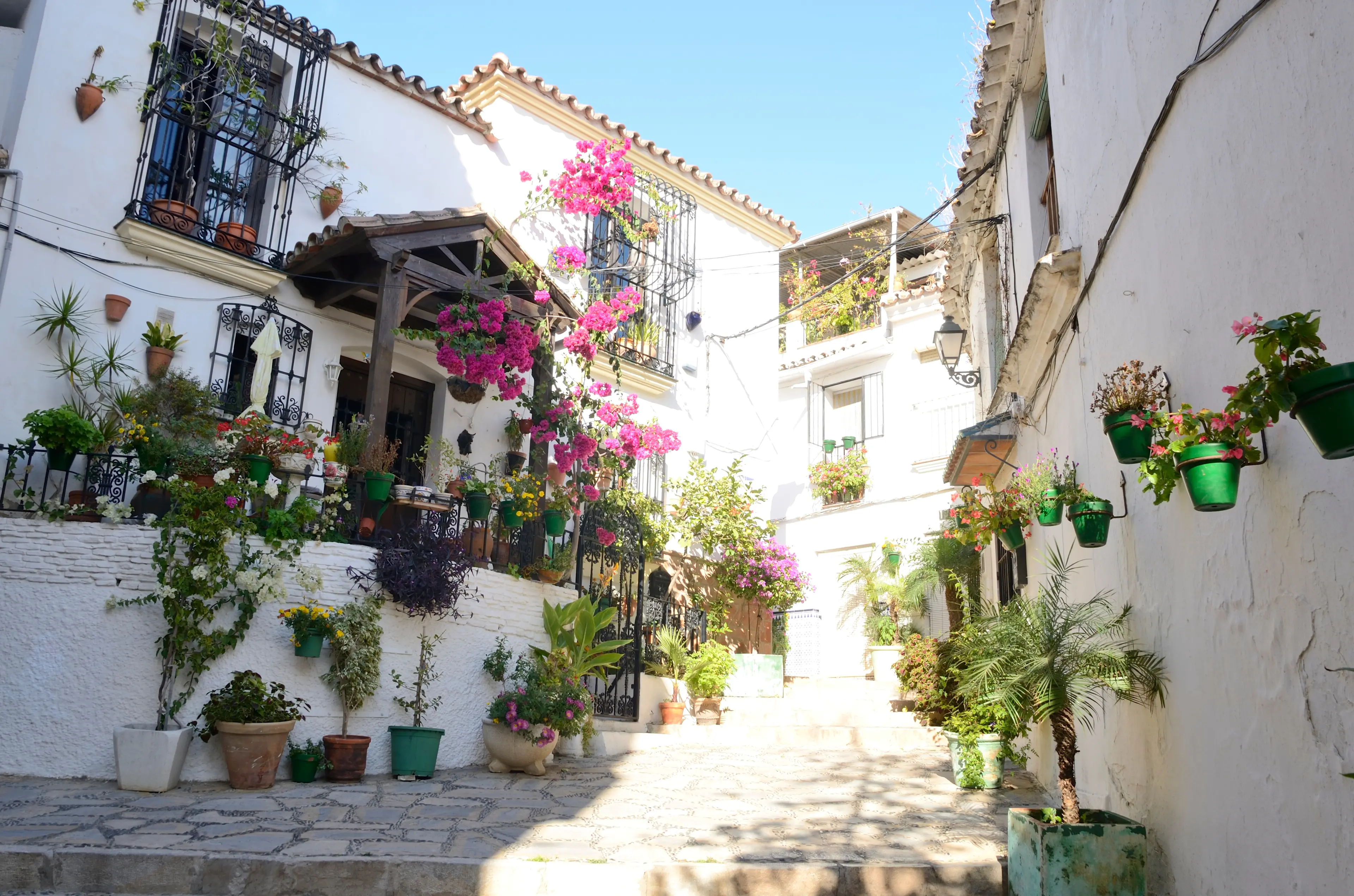 Cliffside view of Funchal, Madeira, Portugal